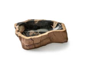 Fossil Waschbecken von Bernit