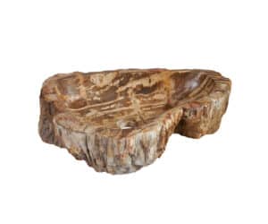Fossil Waschbecken von Bernit