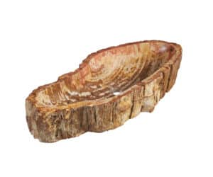 Fossil Waschbecken von Bernit