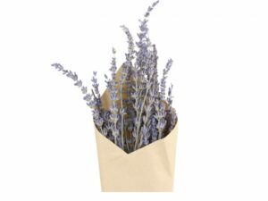 Fleur getrocknete Lavendelblüten