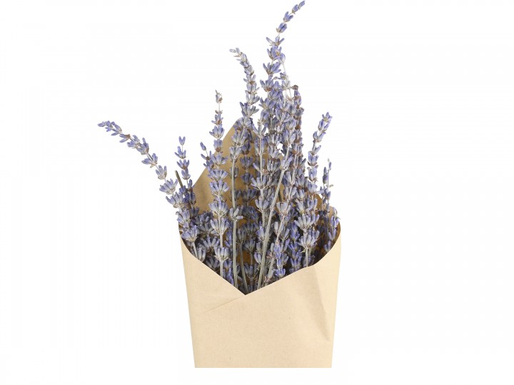 Fleur getrocknete Lavendelblüten
