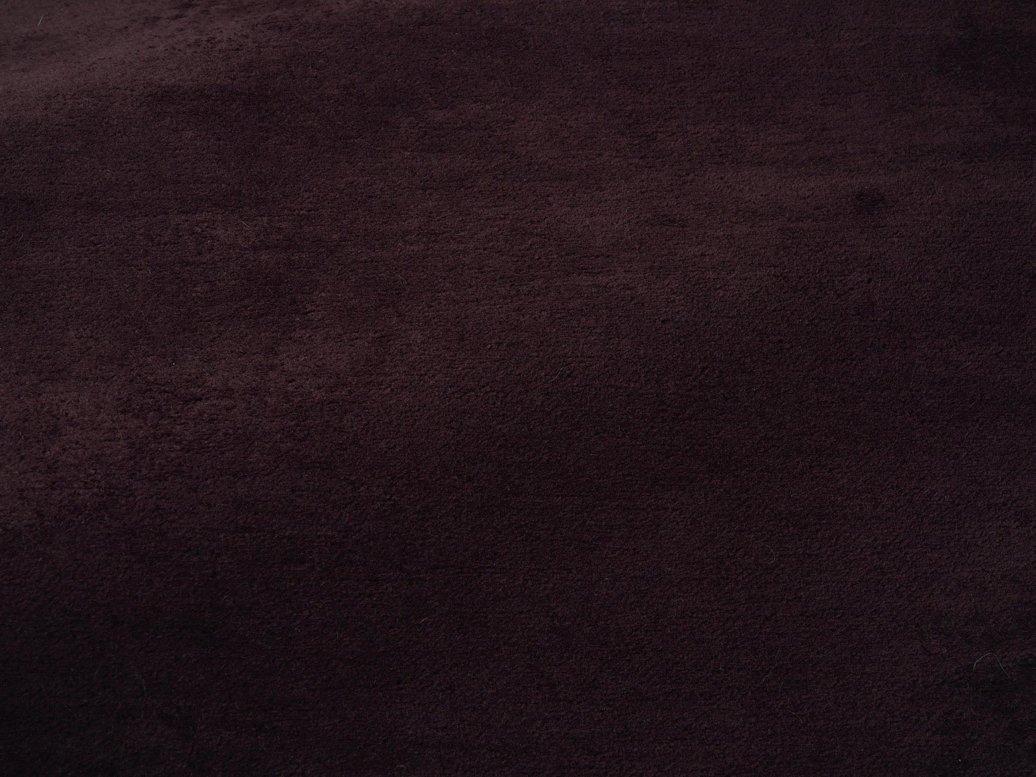 aubergine