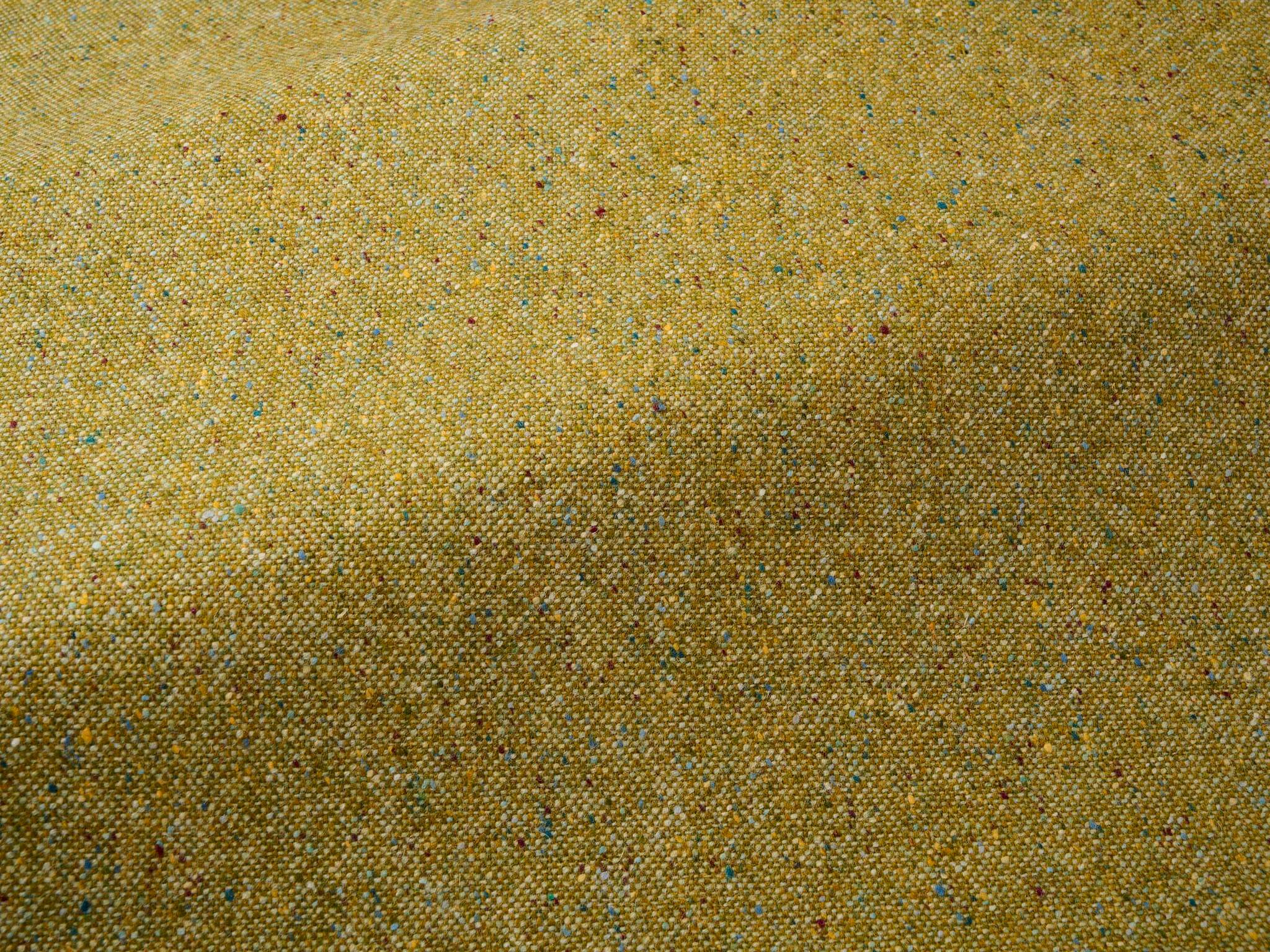 lichen