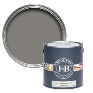 Freudenreich Interior Design | farrow&ball Dead Flat No.276 Moles Breath 2,5L