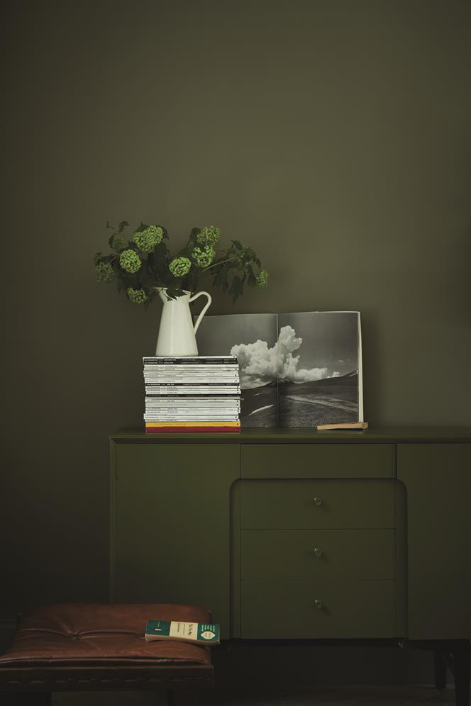 Freudenreich Interior Design | Farrow & Ball Treron No. 292 Freudenreich Interior Design | Farrow & Ball Treron No. 292