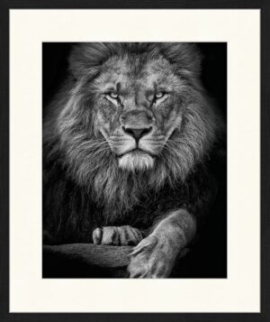 Freudenreich Interior Design | The Lion