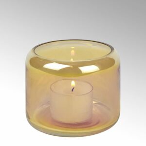 Freudenreich Interior Design | Windlicht Oudon strelitzie
