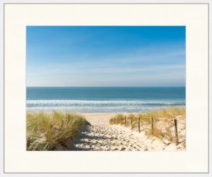 Freudenreich Interior Design | Digitaldruck Cap Ferret